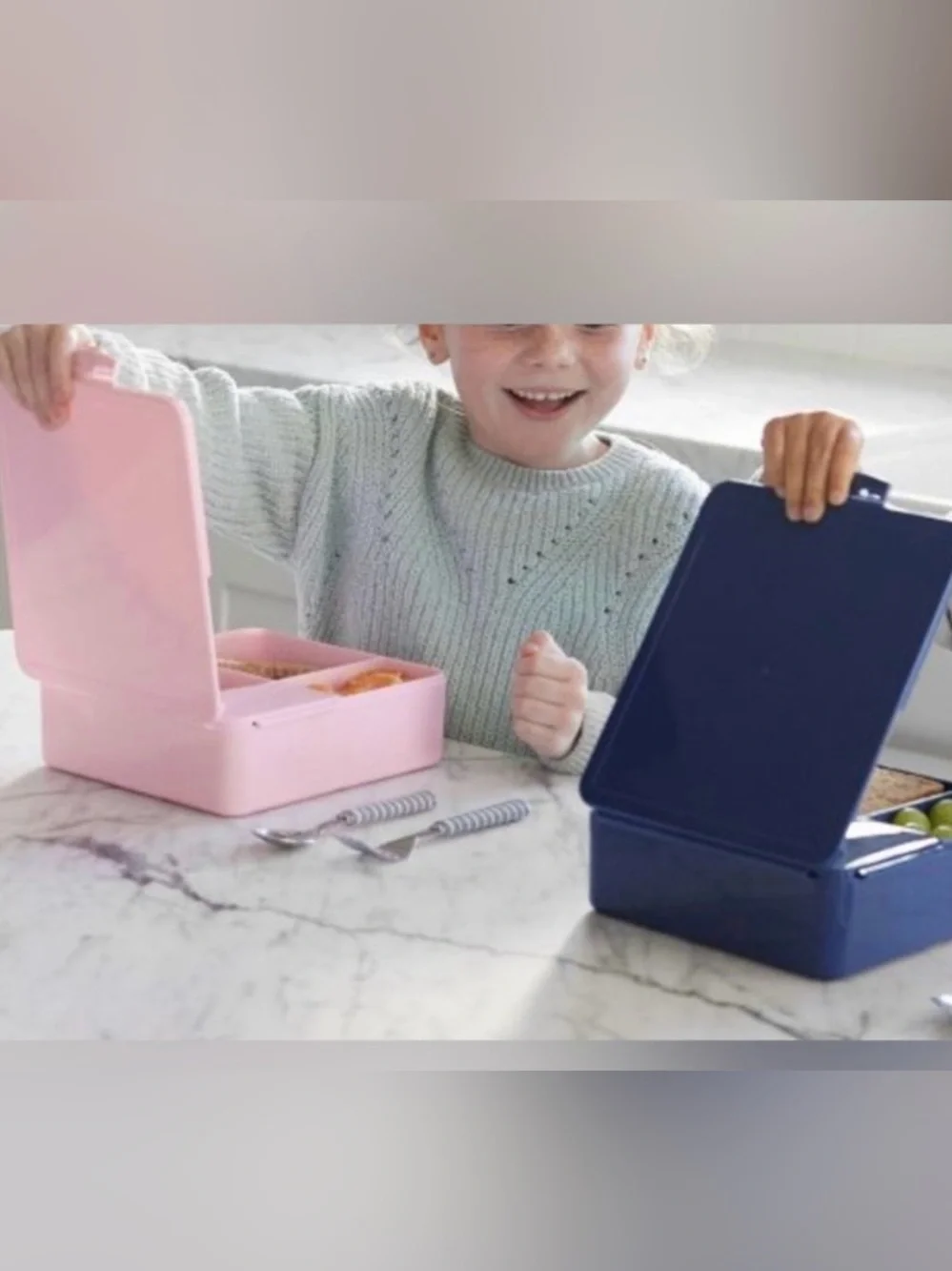 Pottery Barn All-in-One Bento Box and Utensils & Carrying Case Set